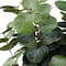 24" Green Eucalyptus Deluxe Bush by Ashland®